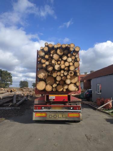 Dřevěné palivo pro krb s atmosférou pohody